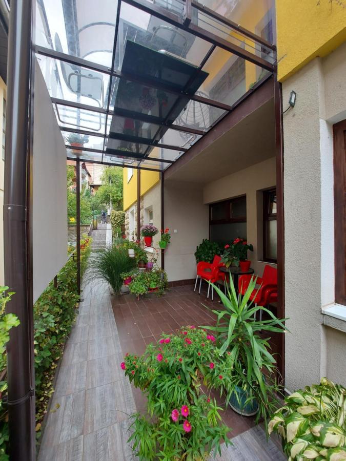 Guest House Pavlovic Sokobanja Eksteriør billede